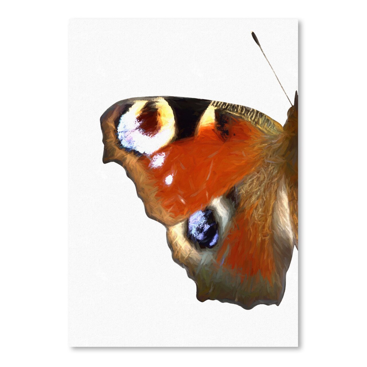 Peacock Butterfly Wing I by Chaos &#x26; Wonder Design  Poster Art Print - Americanflat